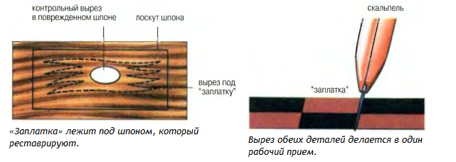 ремонт шпона